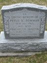 Record image of Peter Bowman Bowman