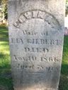 Record image of Lovina Gilbert (born Williams)