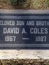 Record image of David Albert Coles