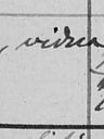 Record image of Theresia Stefflovics (geb. Schenk)