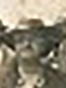 Record image of Martha Helen Estelle James