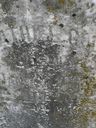 Record image of Salathiel Cole