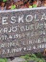 Record image of Yrjö Aukusti Eskola