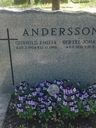 Record image of Bertel Johannes Andersson