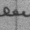 Record image of Sarah Sally Gabbert (born Coleman)