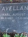 Record image of Carl Adam Adlerstjerna