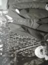 Record image of Francis Vincent Reilly