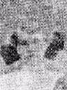 Record image of Susan Valentine Fisher (nacida Baker)