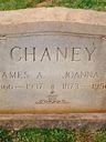 Record image of Joanna Chaney (nacida Thomas)