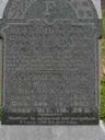 Record image of Nelson Ford
