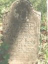 Record image of Amanda Kimberlin (born Weaver)