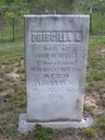 Record image of Priscilla Adeline Wells (born Blackstock)
