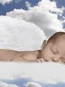 Record image of Baby Williams