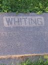 Record image of Nancy Melissa Whiting (born Leamaster)