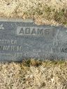 Record image of Ann Eliza Adams (born Forbes)