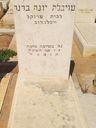 Record image of יונה טובה Brener pv Londner (לבית Frenkel פרנקל)