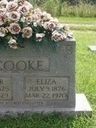 Record image of Eliza Belle Cook (born Madison)