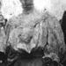 Record image of Mary F MADDOX (born BOWERS)