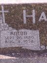 Record image of Anton Justin Haas