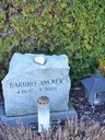 Record image of Barbro* Margareta Ancker (born Persson)