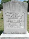 Record image of Anthony Joseph Pat Roberts