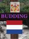Record image of Cornelis Willemsz Budding(h)
