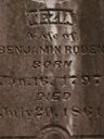 Record image of Sarah Keziah Roden (nacida Manning)