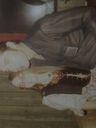 Record image of James Tullie Coleman