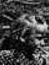 Record image of Laura Lula Thurston (born Williams)