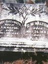 Record image of Samuel Marion Walton
