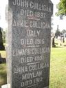 Record image of Annie C Daly (née Kearins)