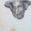 Record image of Francisco Castro