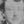 Record image of Niels Hansen Frank