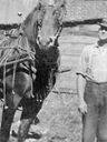Record image of Thomas Wilson Metcalf