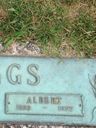 Record image of George Albert Skaggs