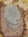 Record image of Phoebe Colt (born Ely)