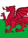 Record image of Morfydd ap Ednyfed Fychan, 26 (born verch Meurig)