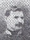 Record image of Cornelius Alfons Daniels