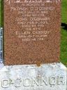 Record image of Ellen O'Connor (Connors) (born Cassidy)