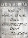 Record image of Lydia White (Timmons widow) (born Morgan)
