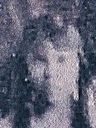 Record image of Margarita Torres (born Grijalva)