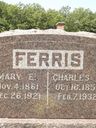 Record image of Mary Elizabeth Ferris (born Naugle)