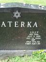 Record image of VI-03a Lilly Taterka (born Thal)