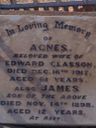 Record image of Agnes Smith Glasson (born Young)
