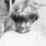 Record image of Ester Mabel Weberg (o.s. Stein)