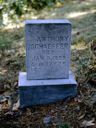 Record image of Peter Anthony Schaeffer