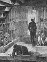 Record image of William Danks, Convict "John" 1831