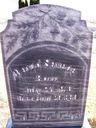 Record image of David Leonard Savage