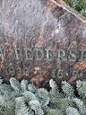 Record image of Elin Pedersen (born Gundersen)