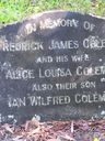Record image of Alice Louisa Coleman (born Needham)